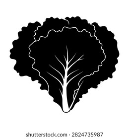 A detailed black and white illustration of a leaf with complex vein patterns and textured edges, emphasizing natural beauty and botanical design.