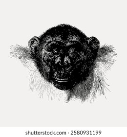 Detailed black and white illustration of a monkey's face. The monkey illustration shows intricate fur details. Artistic monkey drawing with a realistic touch. Vintage animal illustration vector.