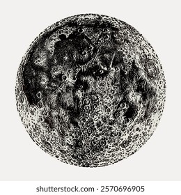 Detailed black and white illustration of the moon's surface, craters and textures. Moon art, moon illustration, moon surface, moon craters. Vintage art drawing illustration, painting art vector.