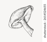 Detailed black and white illustration of a mushroom. The mushroom drawing shows intricate lines and shading. Artistic mushroom sketch on a plain background. Vintage food illustration vector.