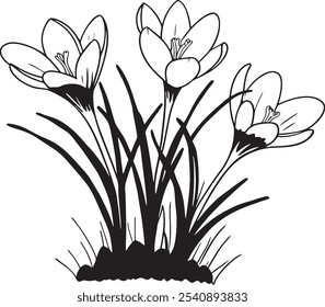 Uma ilustração detalhada em preto e branco mostrando belas flores de croco. Ideal para amantes da natureza e entusiastas botânicos, capturando a essência da primavera em estilo de arte de linha intrincado.