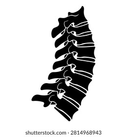 A detailed black and white illustration showcasing the human spine anatomy, highlighting vertebrae, discs, and spinal curvature.
