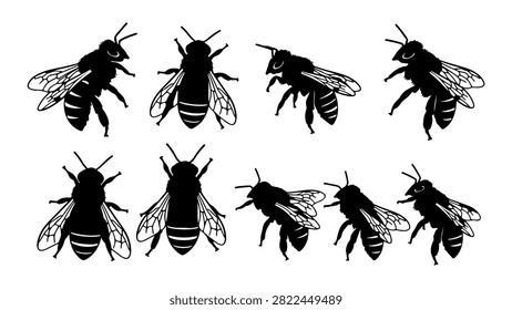 A detailed black and white illustration showcasing multiple bees in various postures and orientations, highlighting their anatomy and wing structure.