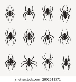 Detailed black and white illustrations of spiders in various poses on a plain white background
