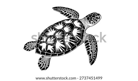 Detailed black and white ink drawing of a sea turtle swimming seen from above with intricate patterns on its shell.