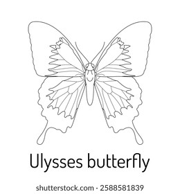 Detailed black and white line art of the Ulysses butterfly. Perfect for coloring books, educational materials, and nature illustrations. Ideal for wildlife and insect enthusiasts.