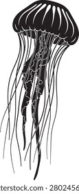 A detailed black and white line drawing of a jellyfish floating with long, flowing tentacles. Perfect for marine biology, ocean-themed projects, and artistic designs.