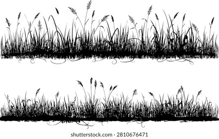 Detailed black and white line drawing of wild grass with varying heights and textures