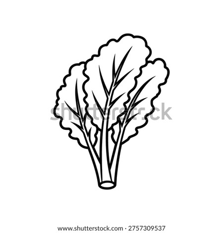 Detailed black and white line drawing of leafy green vegetable, showcasing intricate leaf patterns and stem, ideal for botanical illustrations and educational materials.