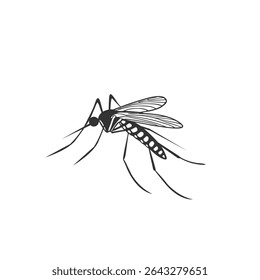 Ilustração detalhada do mosquito preto e branco - Entomologia científica Arte