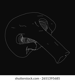 A detailed black and white mushroom drawing stands out against a stark black background, featuring an intricate illustration with clean lines highlighting the textured cap and slender stem.