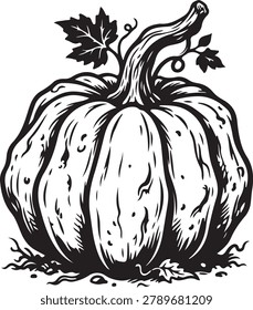 Detailed Black and White Pumpkin Line Art Illustration for Autumn Harvest
