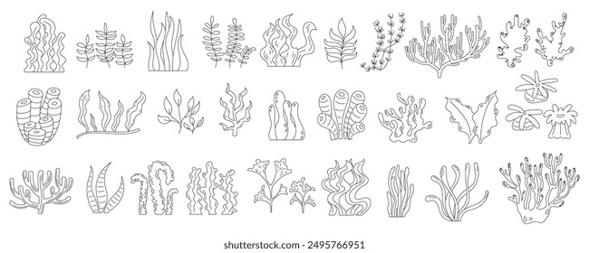 Detailed black and white seashells set. Diverse shells and conch underwater elements. Marine drawings isolated, ocean reef life and aquatic icons. Perfect for coloring activities.