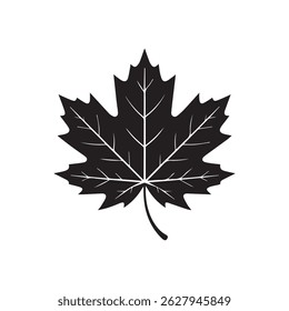 Detailed Black and White Silhouette of a Maple Leaf
