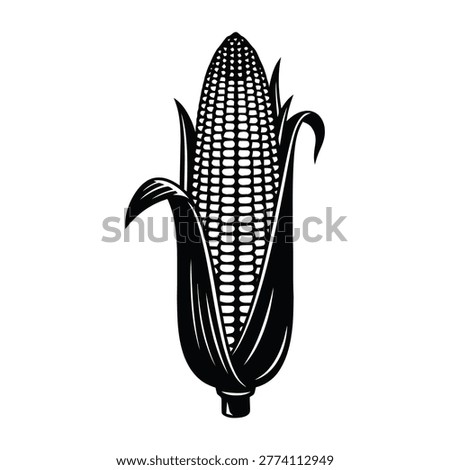 A detailed black and white of a single corn cob on a white background.... corn, cob,...