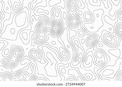 Un detallado mapa topográfico en blanco y negro que muestra características complejas del terreno