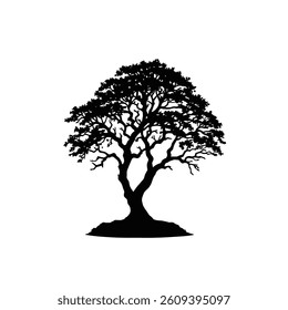 Detailed black and white tree silhouette on white background concept