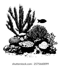 detailed black and white vector artwork of a coral reef featuring diverse marine plants and a single fish, representing underwater ecosystems with intricate textures.