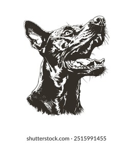 Detallado Vector blanco y negro de cabeza de doberman aislado. Perfecto para estampados, prendas y emblemas. Estilo grunge de alto contraste.