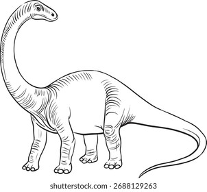 Detailed black and white vector drawing of Diplodocus dinosaur with long neck and tail, prehistoric sauropod illustration for coloring pages and paleontology education
