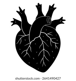 Detailed black and white vector graphic depicting the human heart in precise anatomical detail. This illustration features an outline of the heart, showcasing veins, arteries.