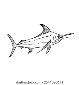 Detailed black and white vector illustration of a marlin fish (swordfish), created in a hand-drawn line art style ideal for use in fishing-themed designs, seafood restaurant branding, nautical prints 