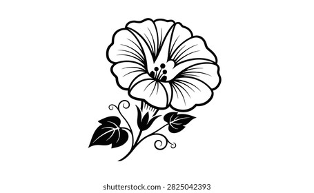 Detailed black and white vector outline illustration of a bindweed morning glory flower with leaves and curly vines.
