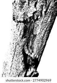 Detailed black and white vector of peeling tree bark texture. High contrast organic wood fiber silhouette, perfect for rustic backgrounds, nature-themed graphics, and grunge design elements.