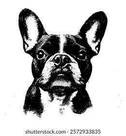 detailed black and white vector portrait of a French bulldog, showcasing its expressive features and strong character through bold lines and intricate textures.