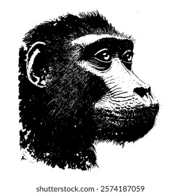 detailed black and white vector profile of a baboon, highlighting its distinctive features and thoughtful expression with fine textures and shading