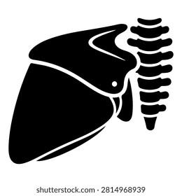 Detailed black and white X-ray image of a human shoulder and spine, highlighting bone structure and alignment for medical analysis.