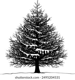A detailed black-and-white illustration of a snow-covered pine tree. The tree's branches are adorned with layers of snow,