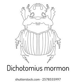 Detailed black-and-white line art of a Dichotomius mormon beetle. Ideal for educational materials, scientific publications, or artistic projects focused on insects and nature.