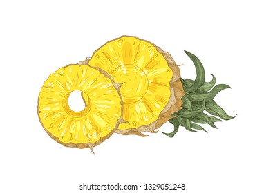 Detailed botanical drawing of cut fresh organic pineapple isolated on white background. Ripe delicious exotic tropical juicy sweet fruit. Realistic hand drawn vector illustration in antique style.