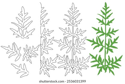 Detailed botanical illustrations of leafy plant branches in black and white and green.