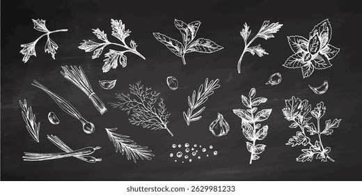 Esboço botânico detalhado com ervas vintage, alho fresco, alecrim, endro, salsa, hortelã e pimenta. Desenho branco estilo giz na textura de quadro-negro. Ideal para embalagens de alimentos orgânicos