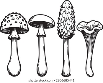Detailed botanical specimen silhouette vector of a mushroom, perfect for educational, scientific, or vintage charts.