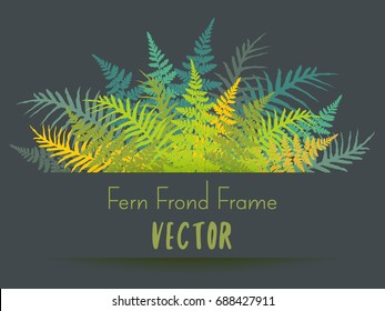 Detailed bracken and silver fern drawing, tropical forest herbs, fern frond grass card border on grey backdrop.  Realistic plant leaves decoration background. Fern frond frame vector illustration.