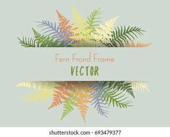 Detailed bracken and silver fern drawing, tropical forest background herbs, fern frond grass card border. Realistic polypodiophyta plant jungle leaves decor. Green bushes, growing plants vector.