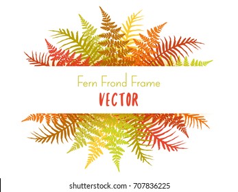 Detailed bracken and silver fern drawing, tropical forest herbs, fern frond grass card border. Realistic polypodiophyta plant leaves decoration background. Fern frame vector illustration.