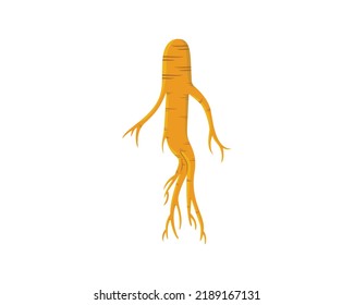 Detailed and Bright Ginseng Illustration