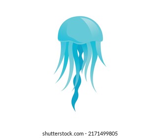 Detailed and Bright Jellyfish Moving with Calm Motion