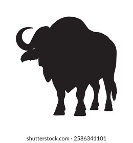 Detailed Buffalo Silhouette for Wildlife and Nature Art - Buffalo Vector - Buffalo Illustration
