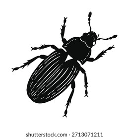 Detalhado Bug Insect esboço vetor 82 em fundo branco, Insect Ilustração