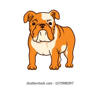 Detailed Bulldog with Standing and Watching Gesture Illustration