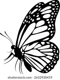 Detailed Butterfly Silhouette on White Background