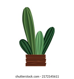 Detailed cacti isolated on white background.