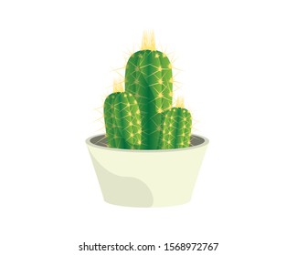 Detailed Cactus with the Pot Illustration