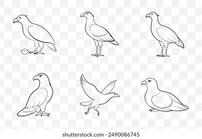 Detailed Caracara Bird Line Art Vector Set for Illustrations and Graphic Designs