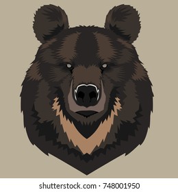 Detailed cartoon bear on a bright background